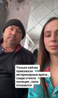 Иллюстрация 1