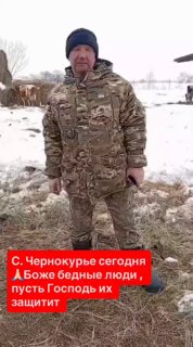 Фермер в Новосибирской области потерял стадо на миллионы: компенсация 600 тыс. и угрозы