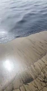 Иллюстрация 4