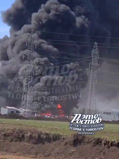 Иллюстрация 1