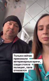 Иллюстрация 1