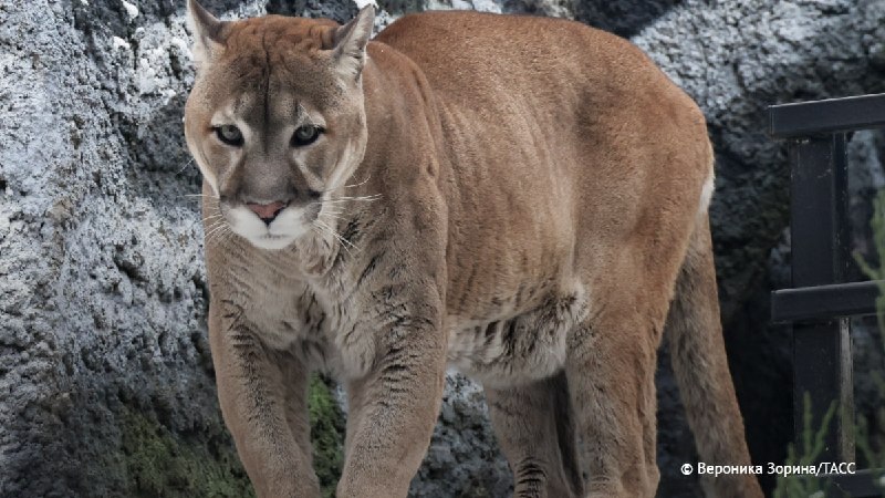 Иллюстрация 2