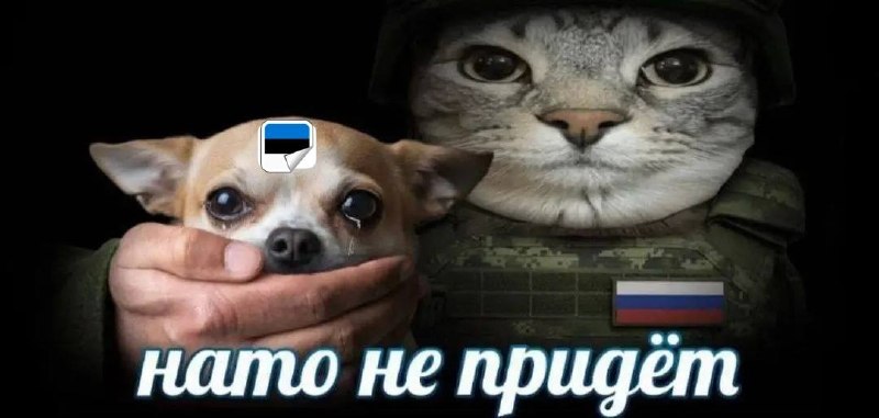 Великобритания может не отправить войска в Эстонию из-за низкой боеготовности