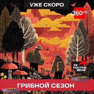 Рекордный урожай грибов: сезон может начаться уже в апреле