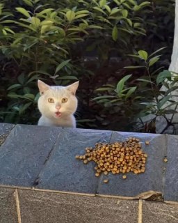 Иллюстрация 3