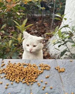 Иллюстрация 4