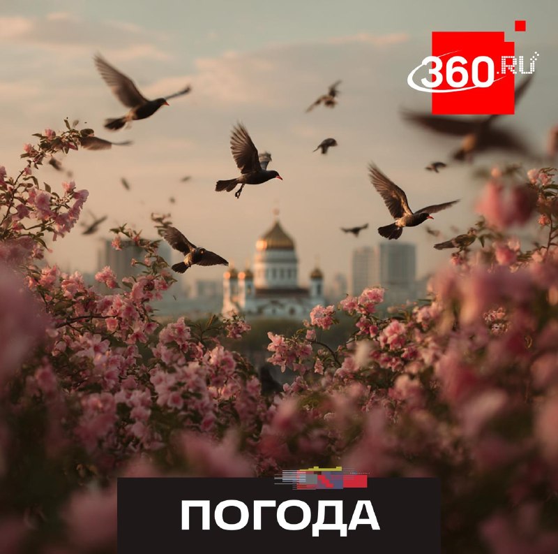 Синоптики предупредили о возможных заморозках и мокром снеге в Москве к Пасхе