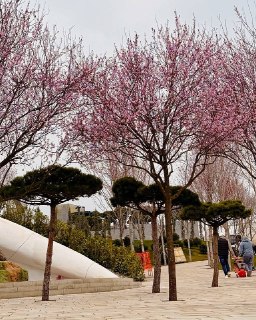 Иллюстрация 2