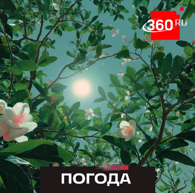 Потепление до +18 °C ожидается в Подмосковье в выходные