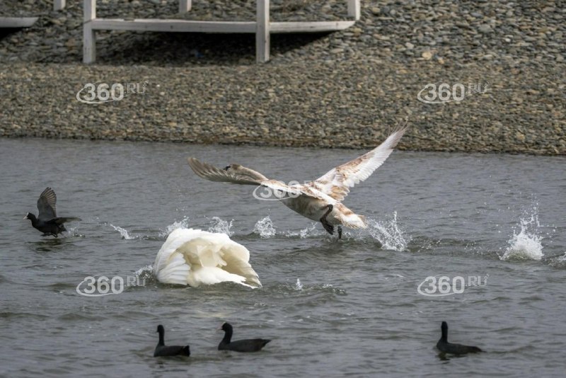 Иллюстрация 3