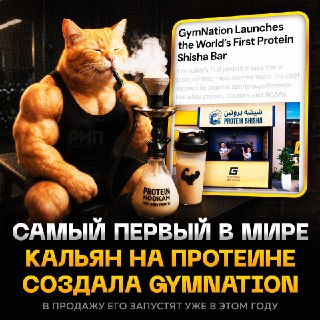 В Саудовской Аравии создали протеиновый кальян с аэрозольным белком