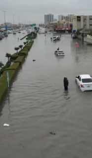 Иллюстрация 1