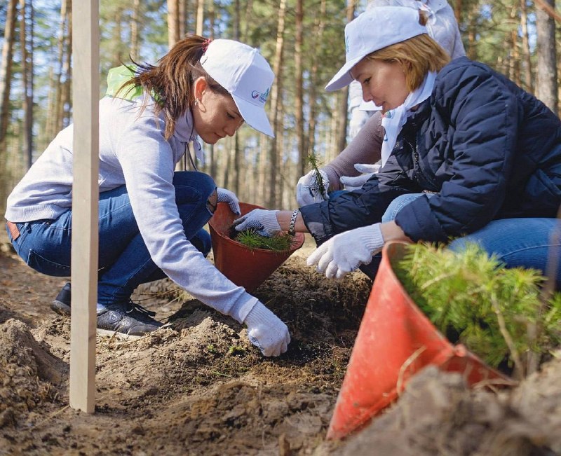 Волонтеры Транснефти выстроили систему помощи Донбассу