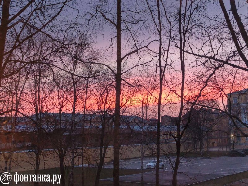 Иллюстрация 2