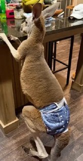 Иллюстрация 2