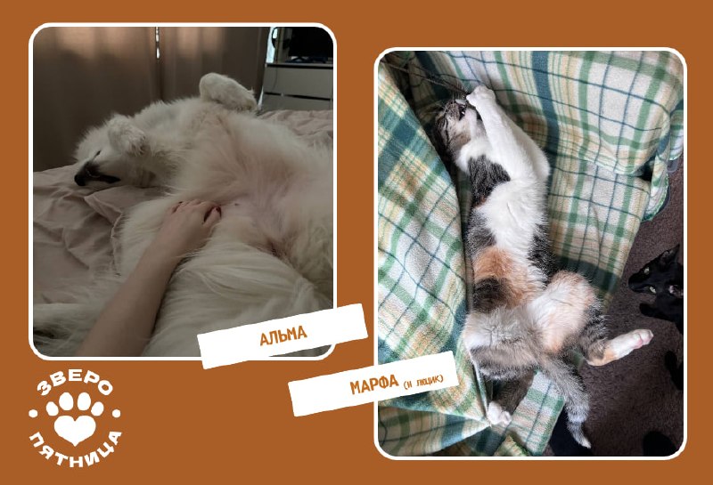 Иллюстрация 3