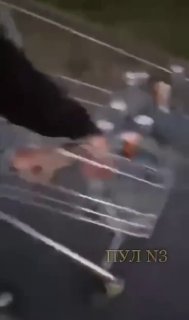 Сатира о Путине и Польше