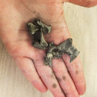 Иллюстрация 2