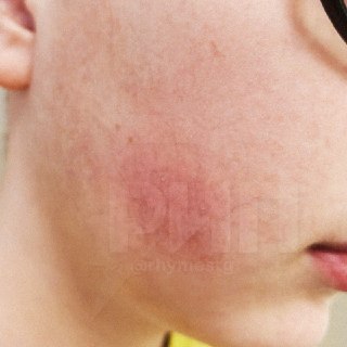 Иллюстрация 3