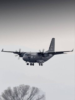 Иллюстрация 2