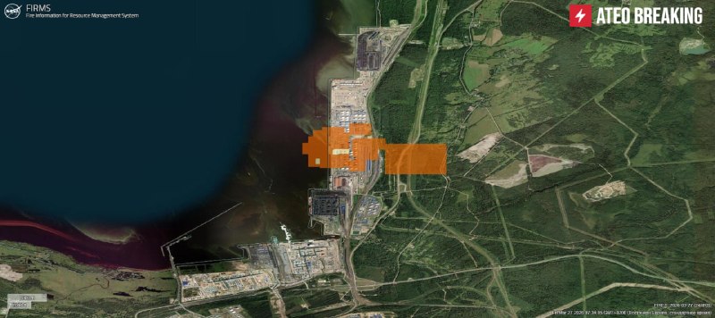 Иллюстрация 2