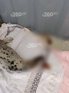 Иллюстрация 3