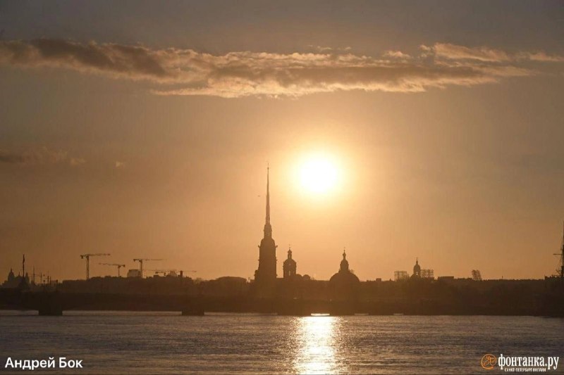 Иллюстрация 1