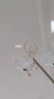 Отдых в санатории с лечением оказался дешевле обычного отпуска