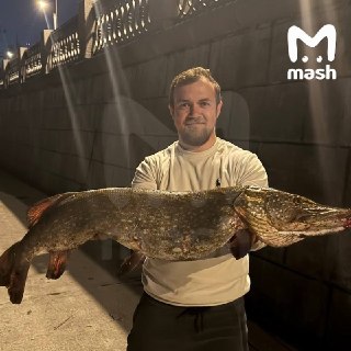 Иллюстрация 1