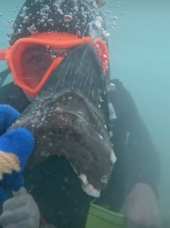 Иллюстрация 2