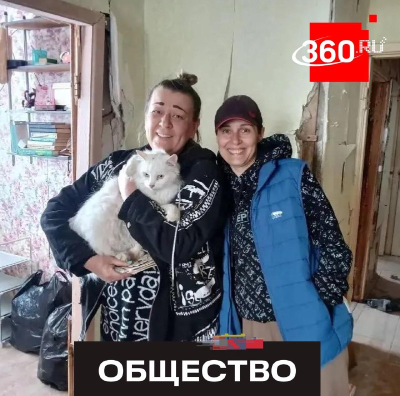 Кот выжил после взрыва в Севастополе, проведя шесть дней в кладовке