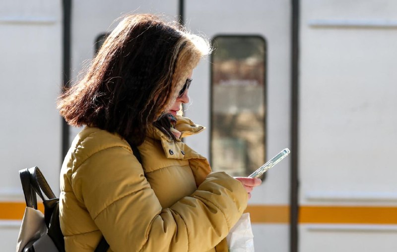 МВД предупредило о мошенничестве через фальшивые петиции