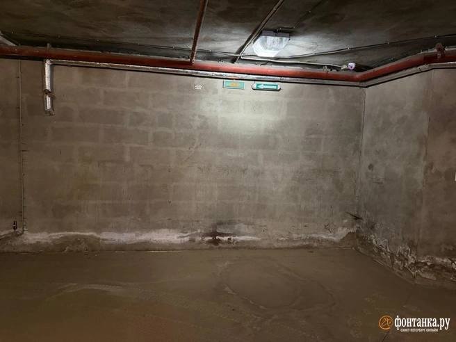 Иллюстрация 2