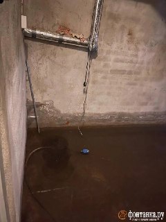 Иллюстрация 3