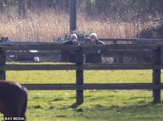 Экс-принц Эндрю нарушил запрет на верховую езду и переехал в фургон