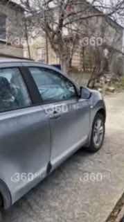 Спасенного лебеденка выпустили на озеро в Абрау-Дюрсо