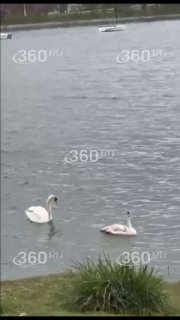 Иллюстрация 2