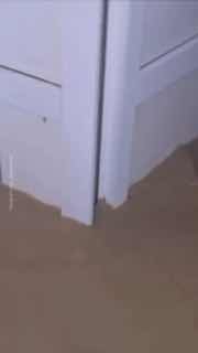 Иллюстрация 8