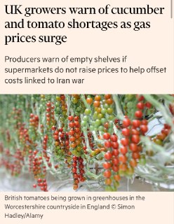 Иллюстрация 2