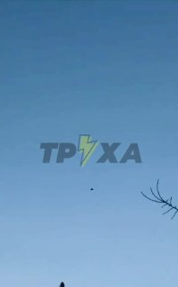 Иллюстрация 3