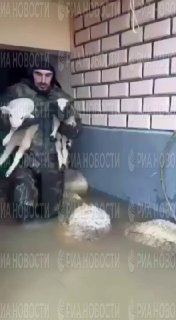 Мужчины спасают скот из затопленного села в Дагестане на лодках