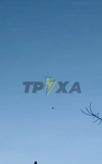 Иллюстрация 6