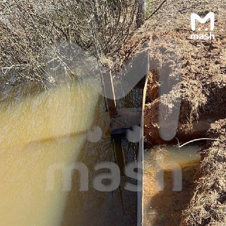 Иллюстрация 2