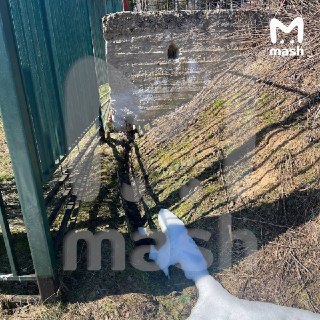 Иллюстрация 3