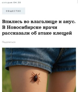 Клещ неделю жил в прямой кишке у новосибирца