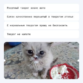 Без Тора или без творога?