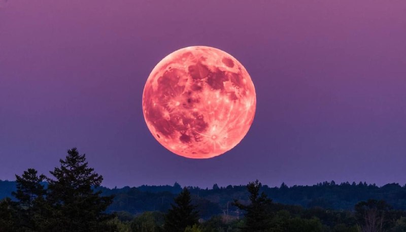 Розовую луну увидят россияне уже завтра ночью