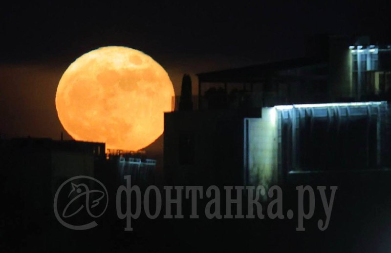 Иллюстрация 3