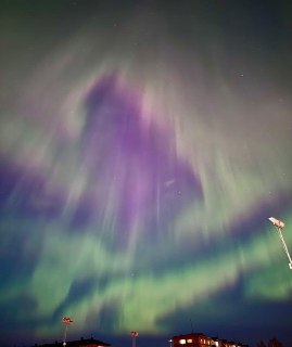 Иллюстрация 3