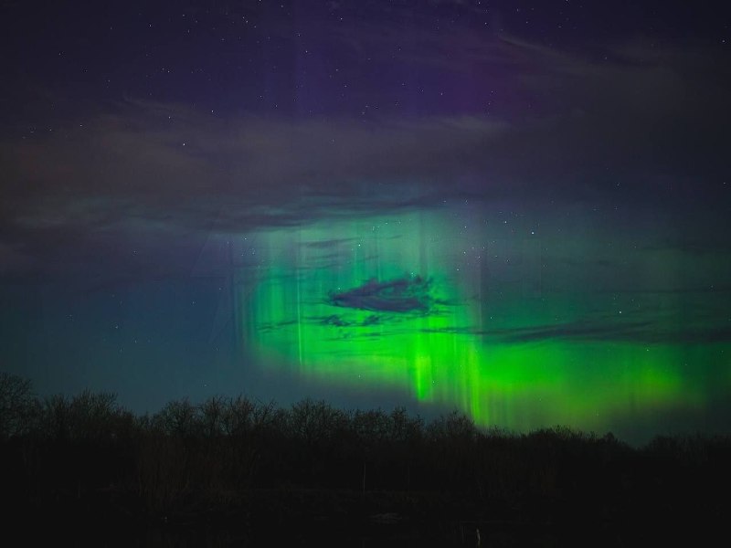 Иллюстрация 6